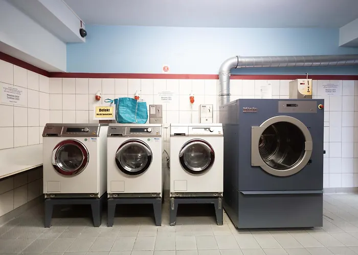 شباب بيغاسوس *